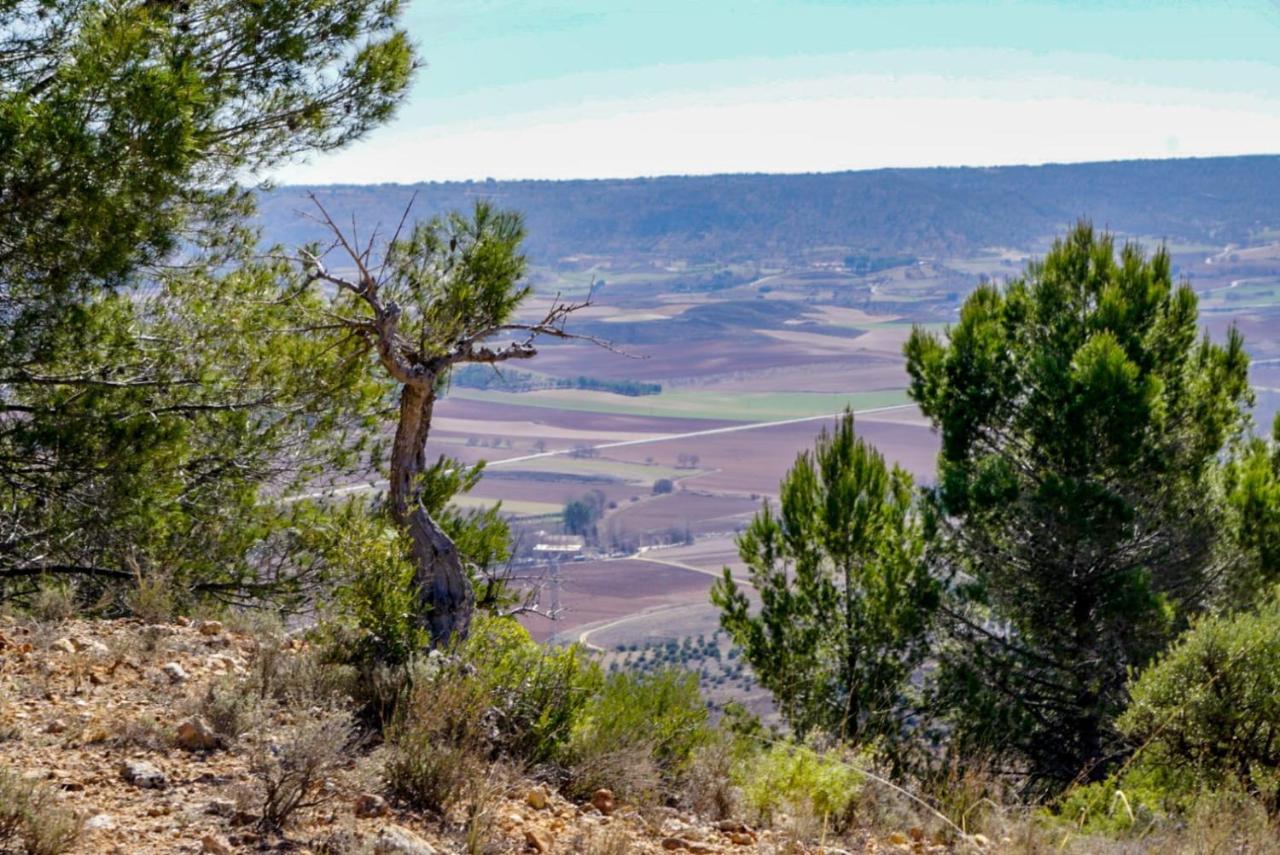 De Felipe Casa Rural Horche Exteriör bild
