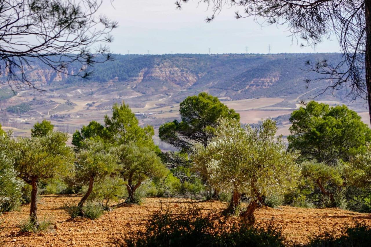 De Felipe Casa Rural Horche Exteriör bild